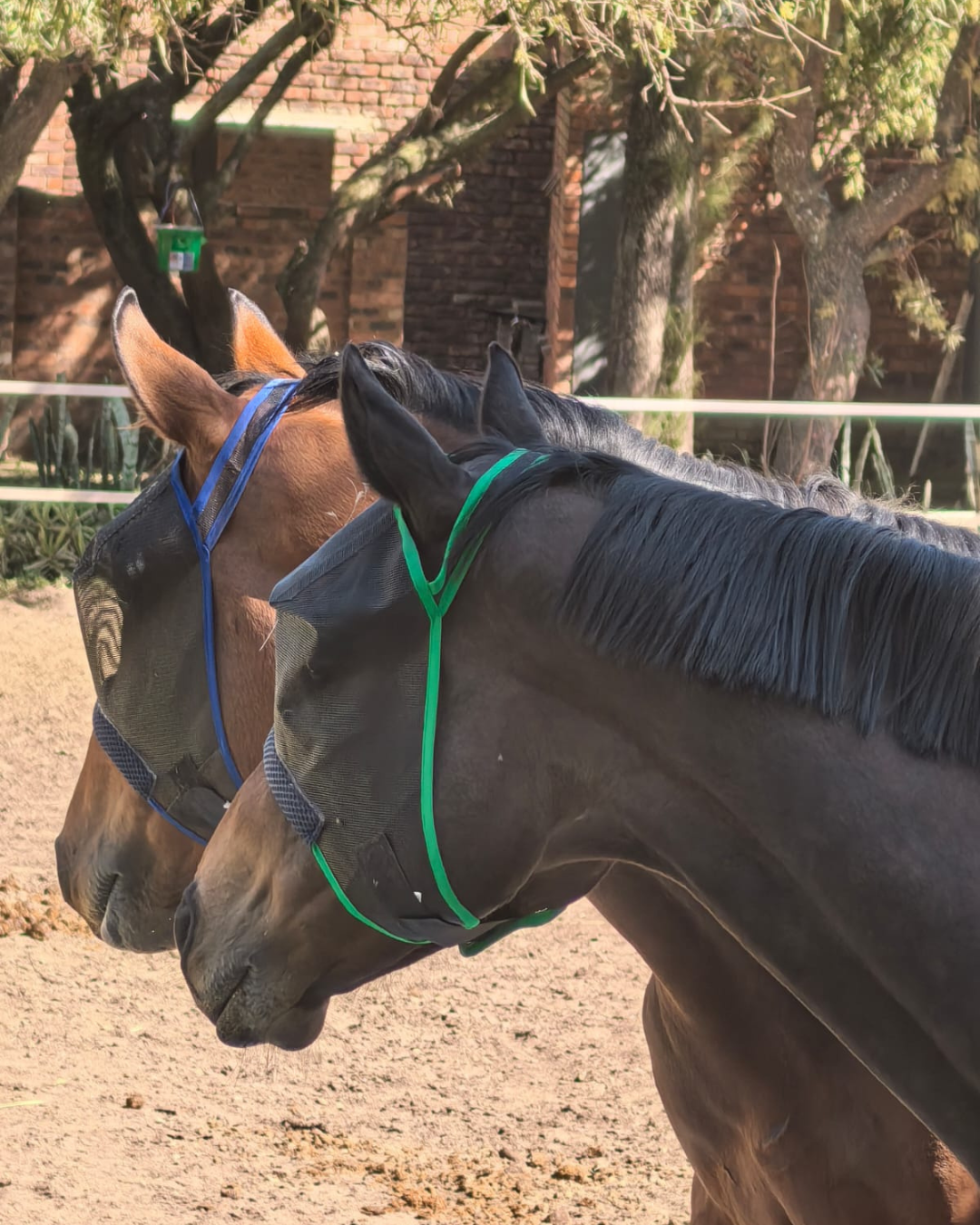Horse&Pony Fly Mask