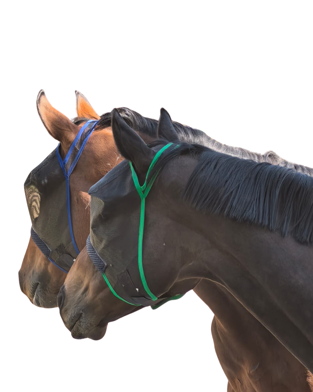 Horse&Pony Fly Mask