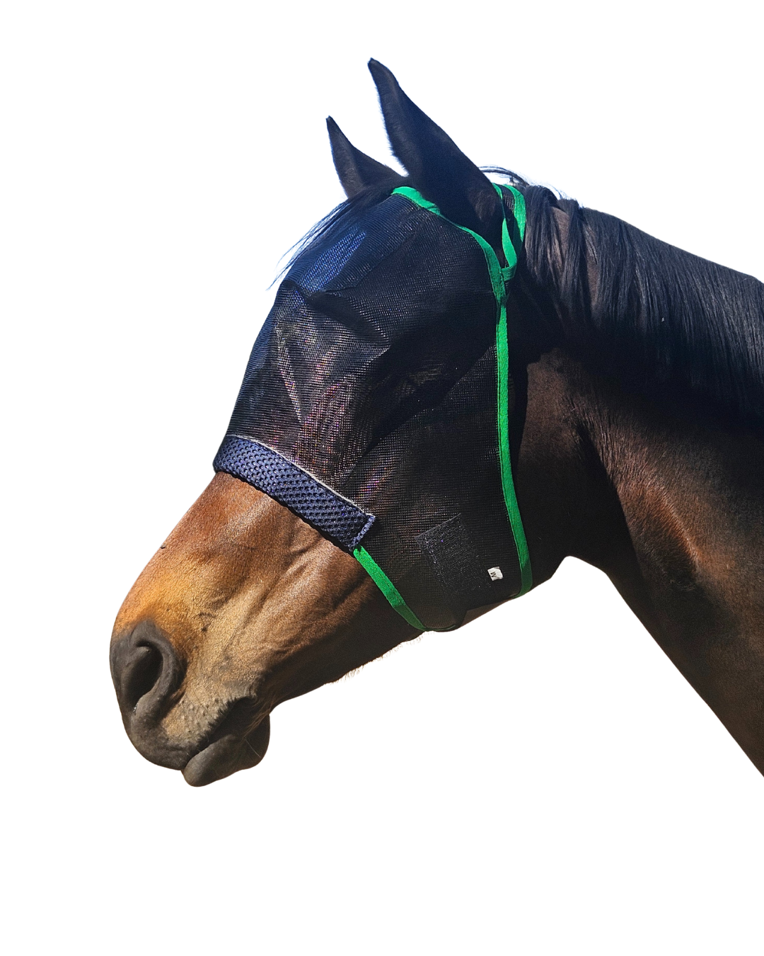 Horse&Pony Fly Mask