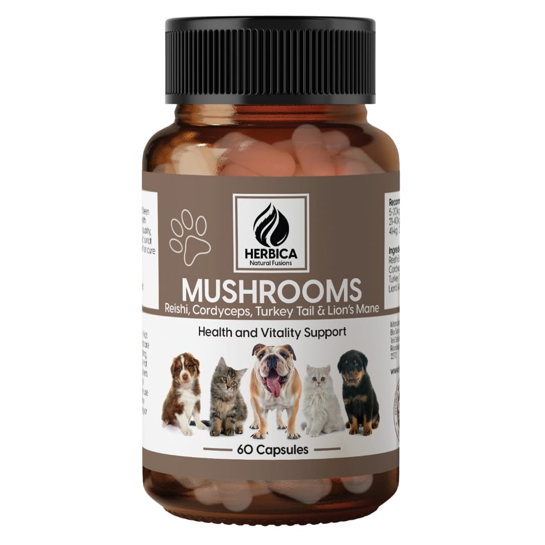 Mushrooms for Cats & Dogs