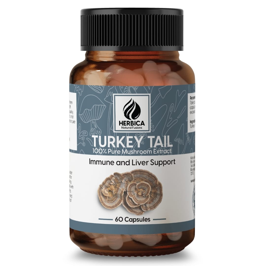 Turkey Tail Mushroom Extract