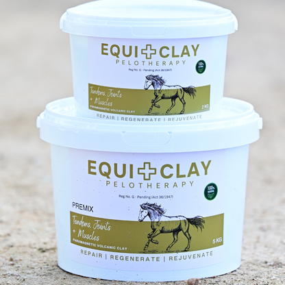 EquiClay Tendons, Joints and Muscle Clay