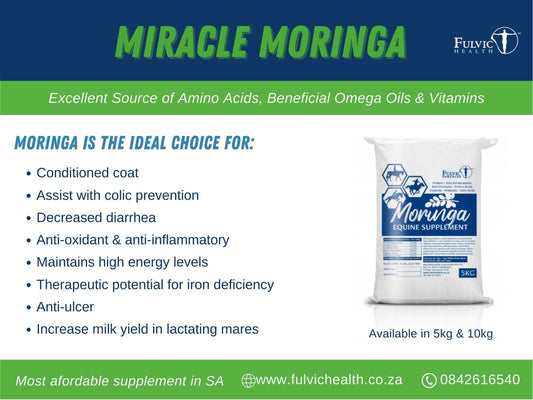 Fulvic Health Miracle Moringa Veggie Capsules 180 (Human)