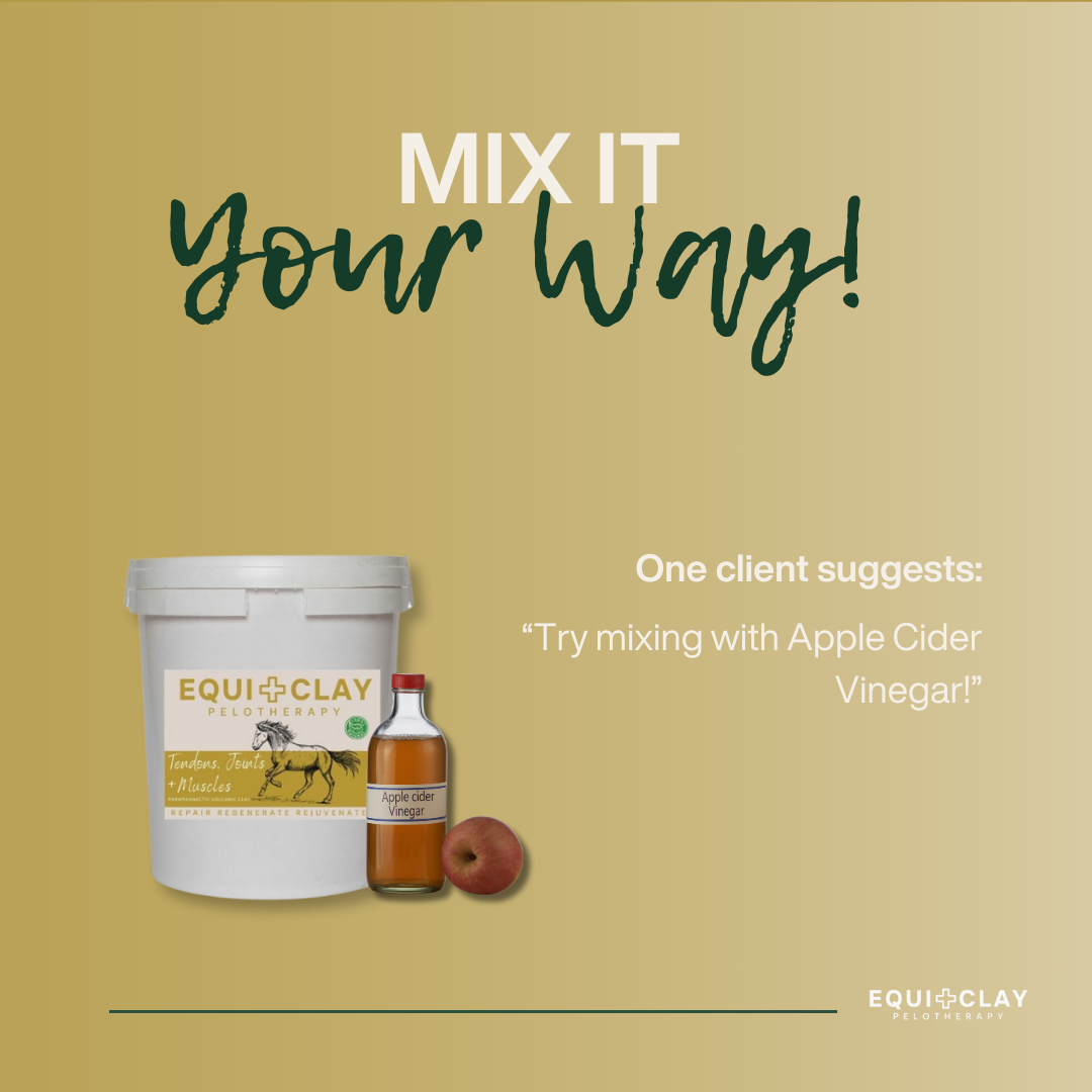 EquiClay Tendons, Joints and Muscle Clay