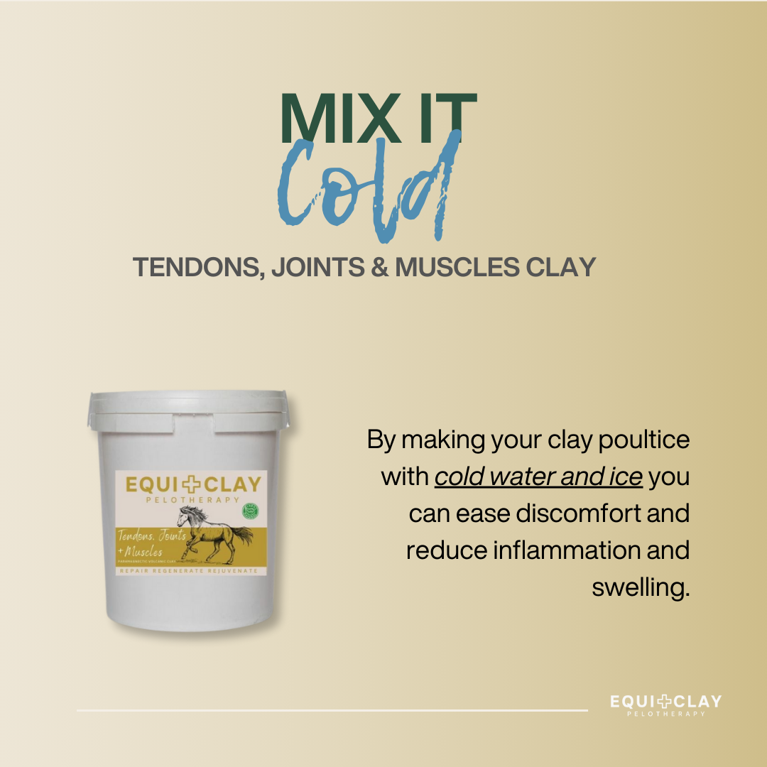 EquiClay Tendons, Joints and Muscle Clay