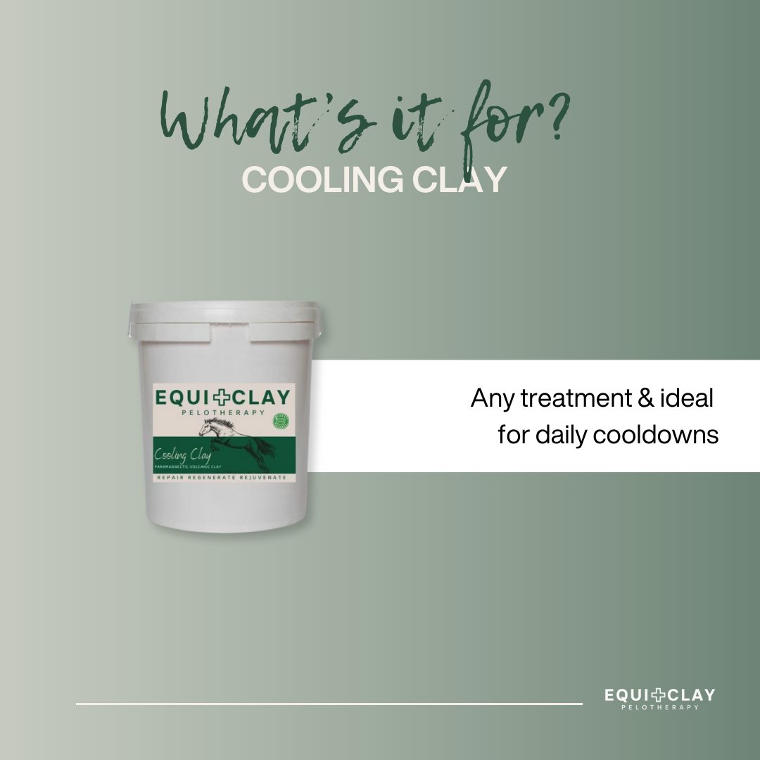 EquiClay Cooling Clay