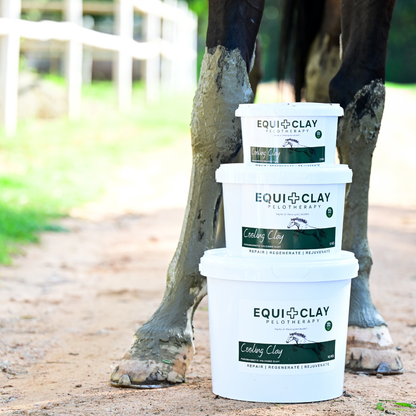 EquiClay Cooling Clay