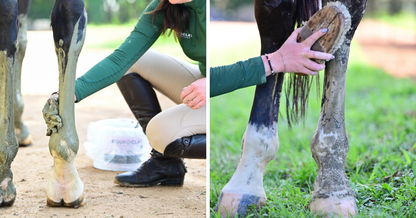 EquiClay Cooling Clay