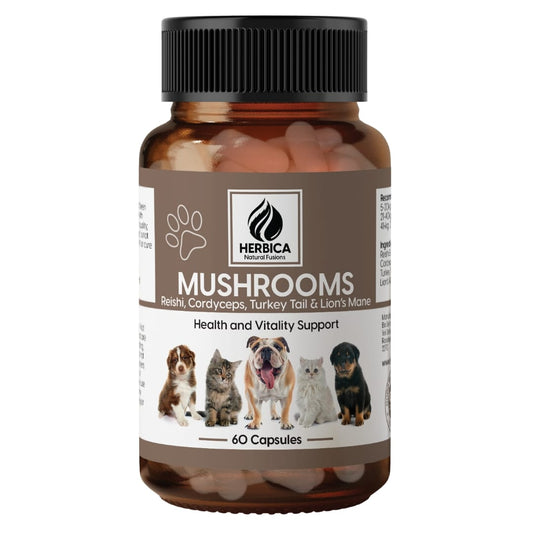 Mushrooms for Cats & Dogs