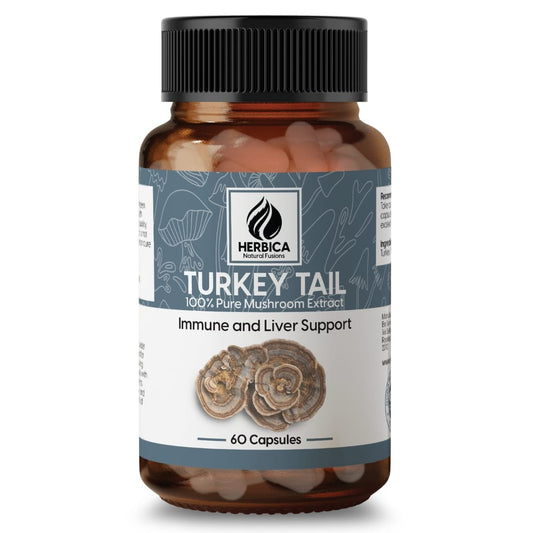 Turkey Tail Mushroom Extract