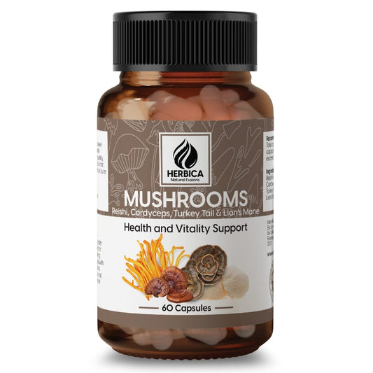 Four Extract Mushroom Blend