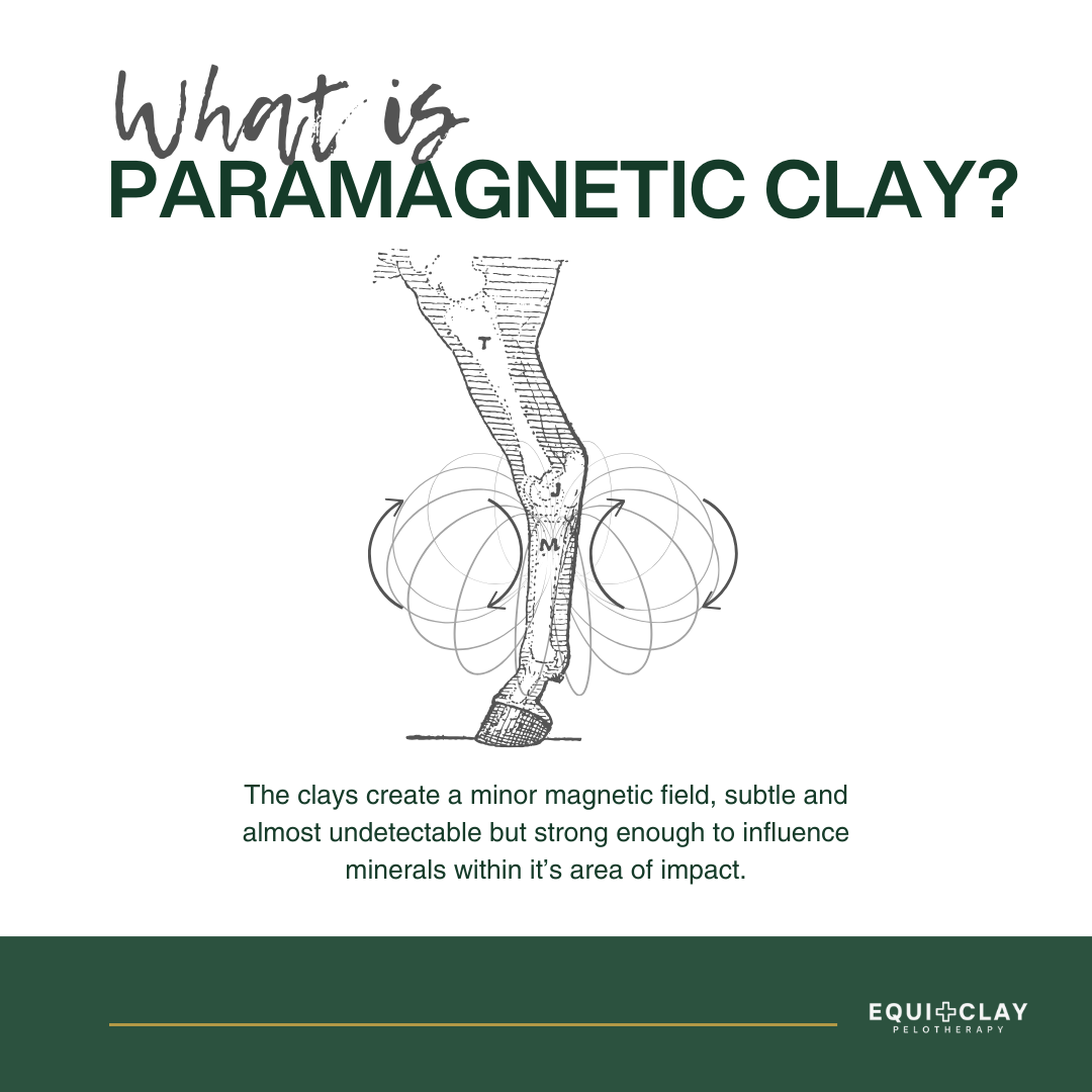 EquiClay Cooling Clay