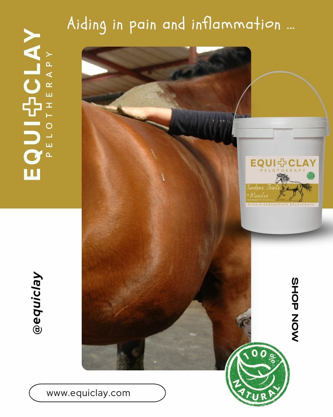 EquiClay Tendons, Joints and Muscle Clay