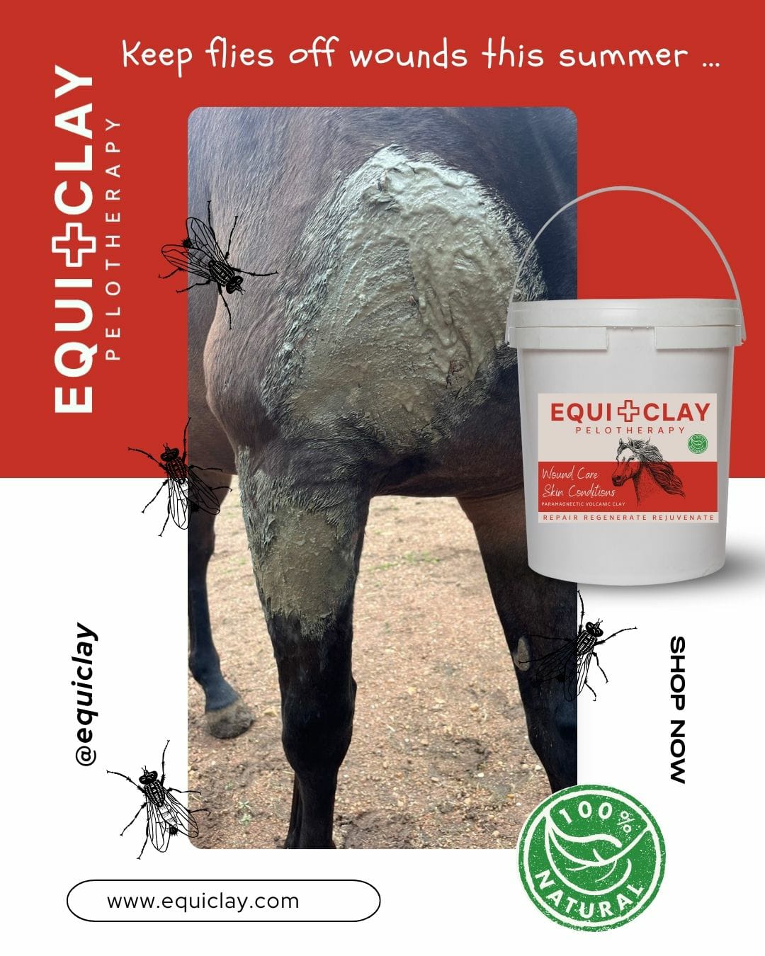 EquiClay Wound and Skin Clay