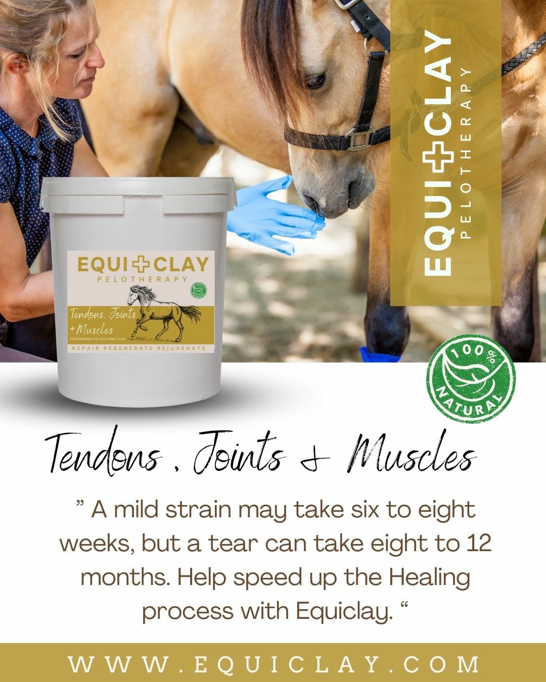 EquiClay Tendons, Joints and Muscle Clay