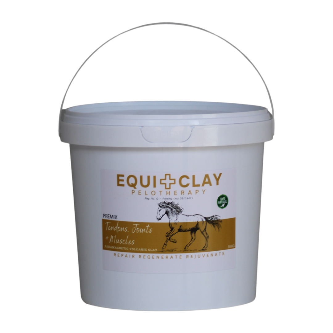 EquiClay Tendons, Joints and Muscle Clay