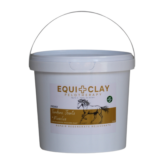 EquiClay Tendons, Joints and Muscle Clay