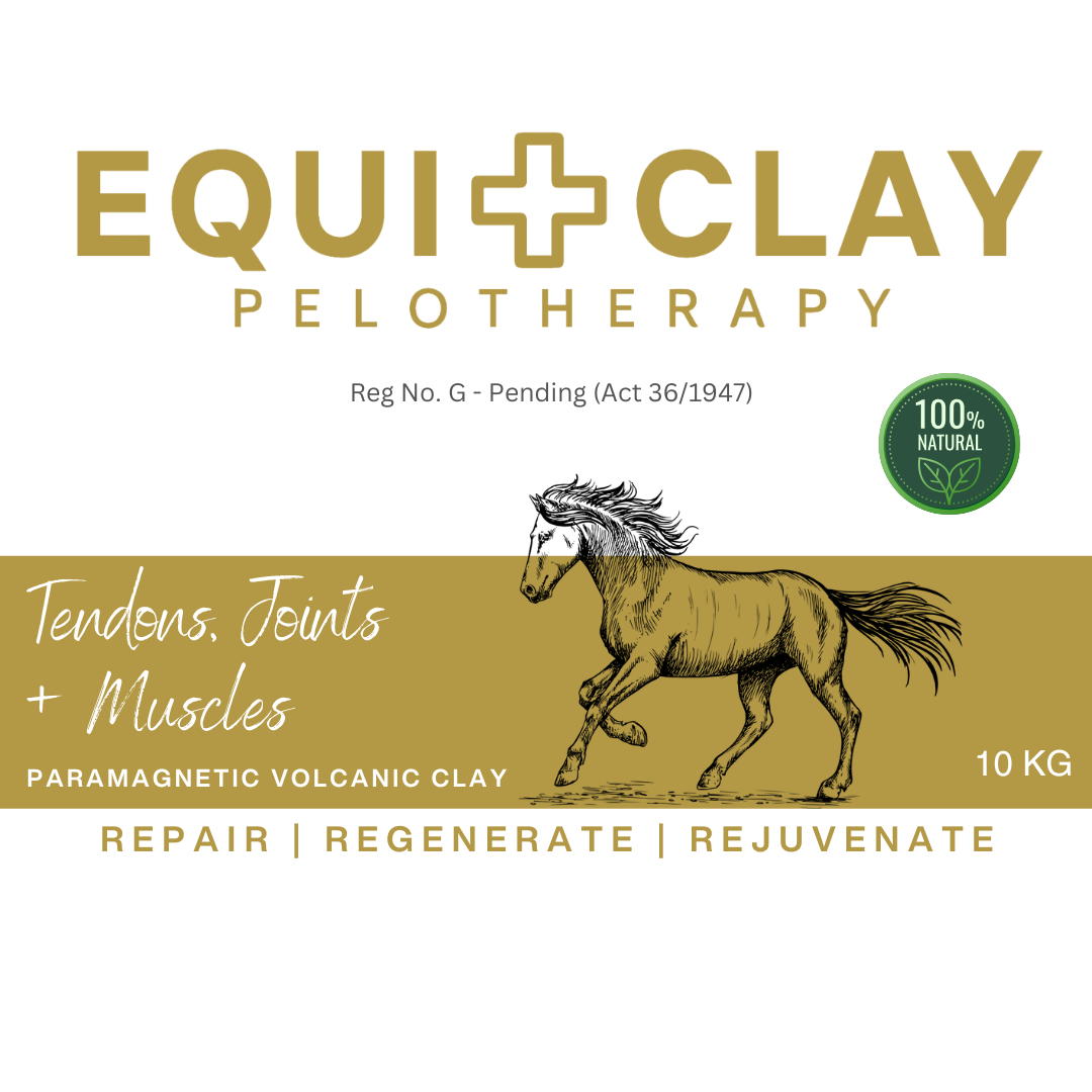 EquiClay Tendons, Joints and Muscle Clay